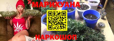 стаф Кулебаки