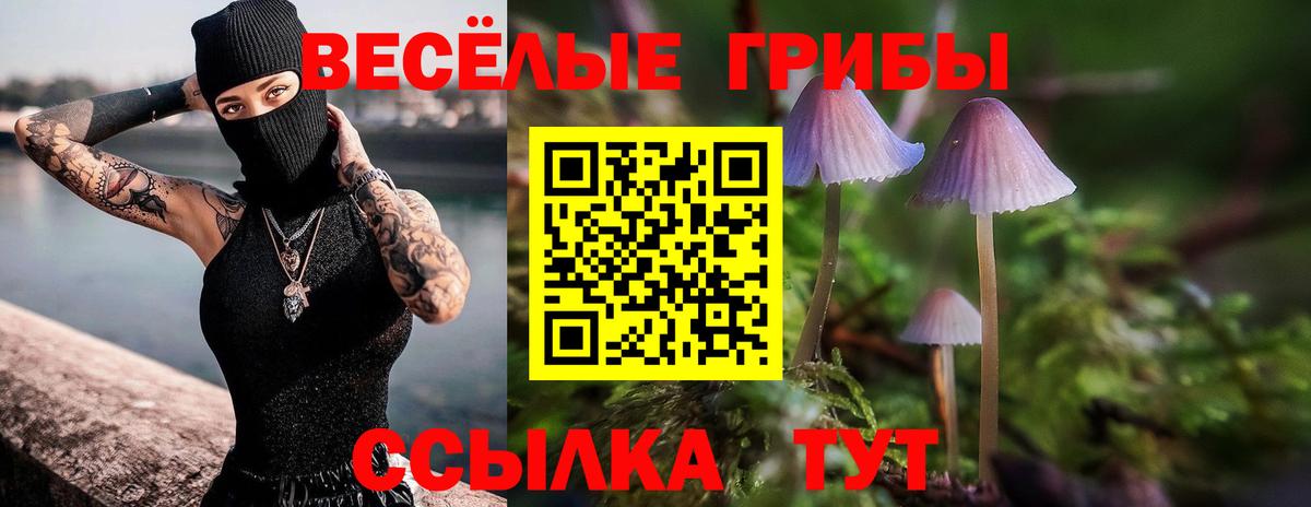 Котовск  Галлюциногенные грибы Psilocybine cubensis  где купить наркотик  Вход с VPN 